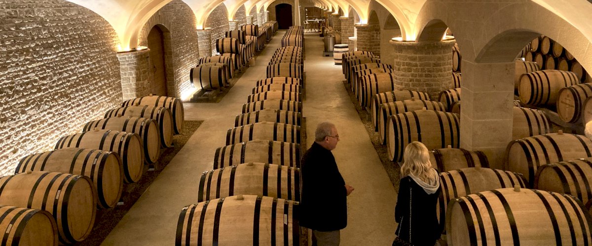 cellar-burgundy