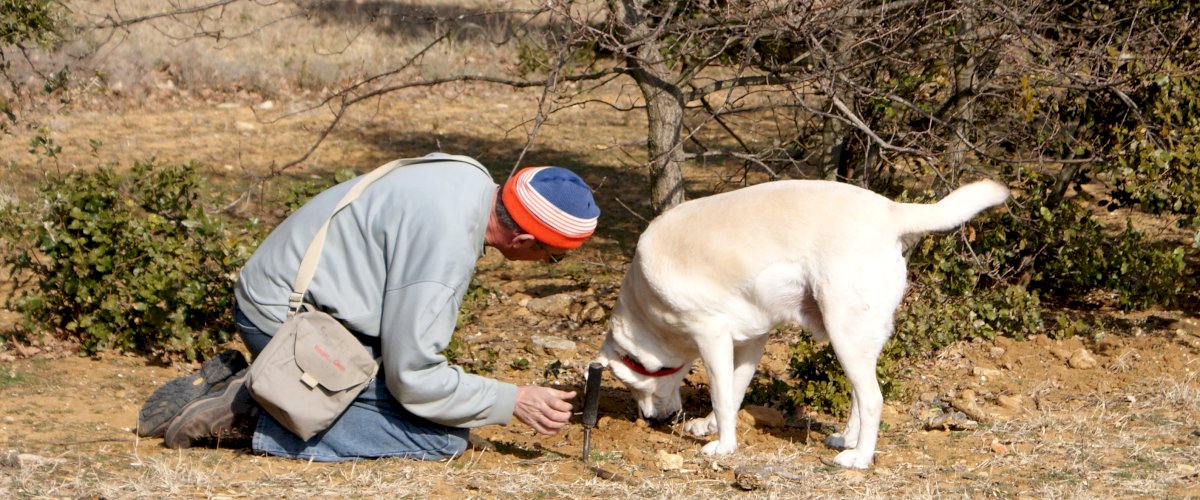 truffle-hunting-lyon