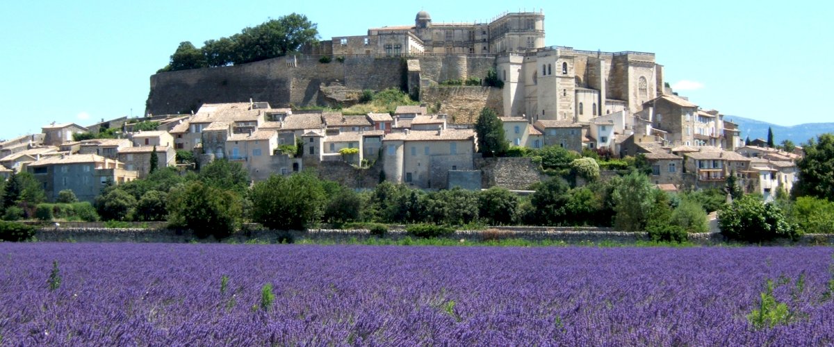 grignan-lavender