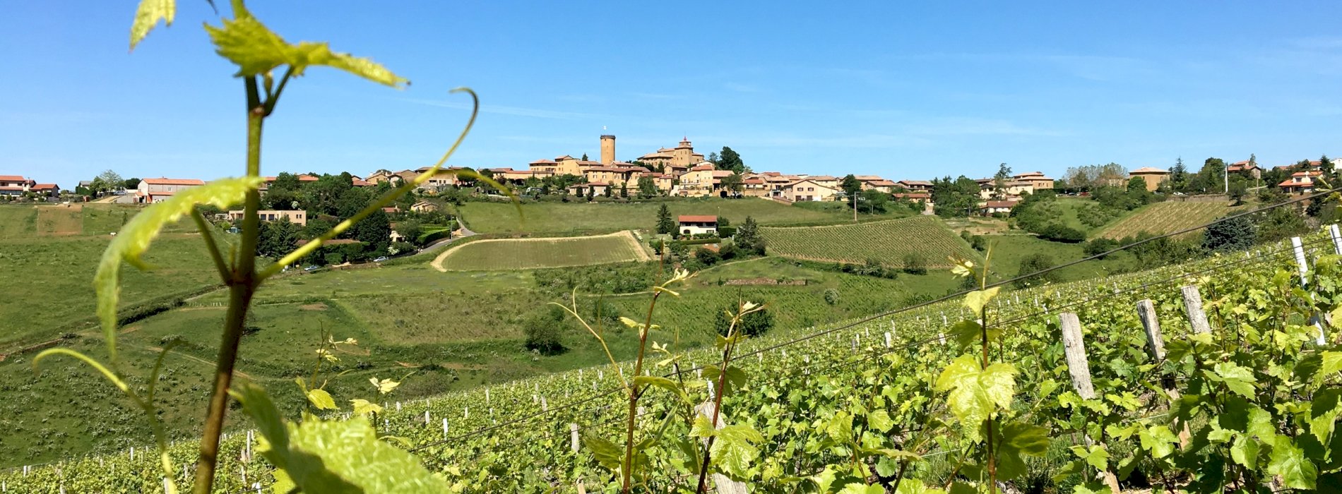 Kanpai Tourism - Pérouges & Beaujolais