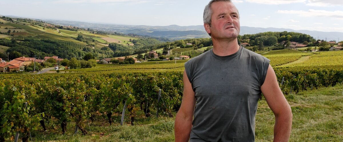 wine-maker-beaujolais