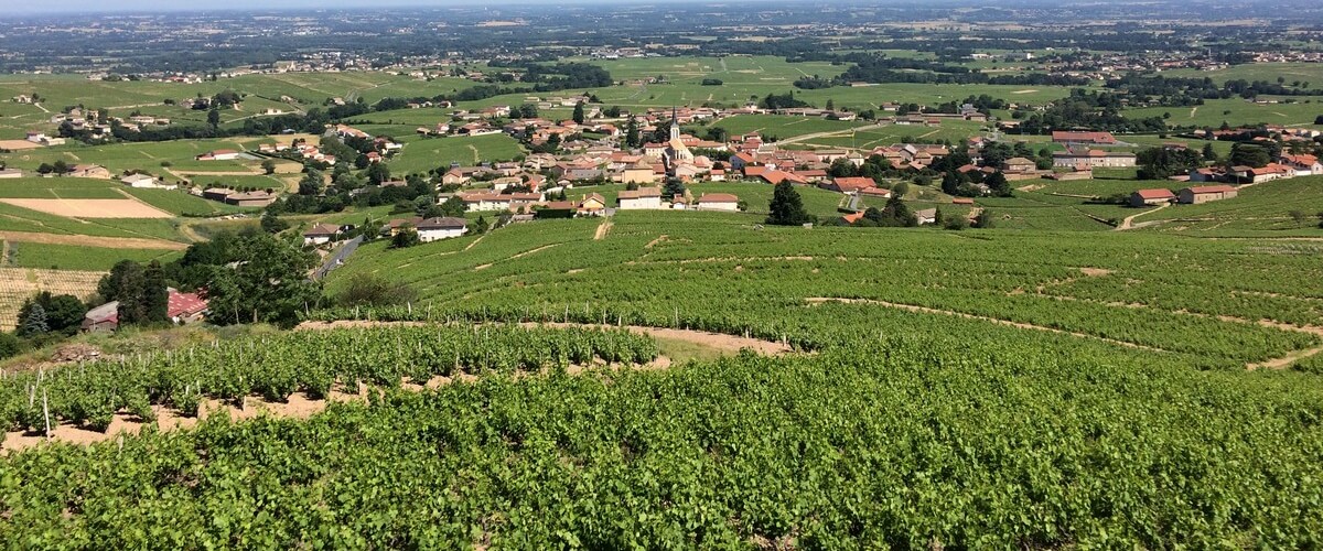 beaujolais-wine-country-tasting