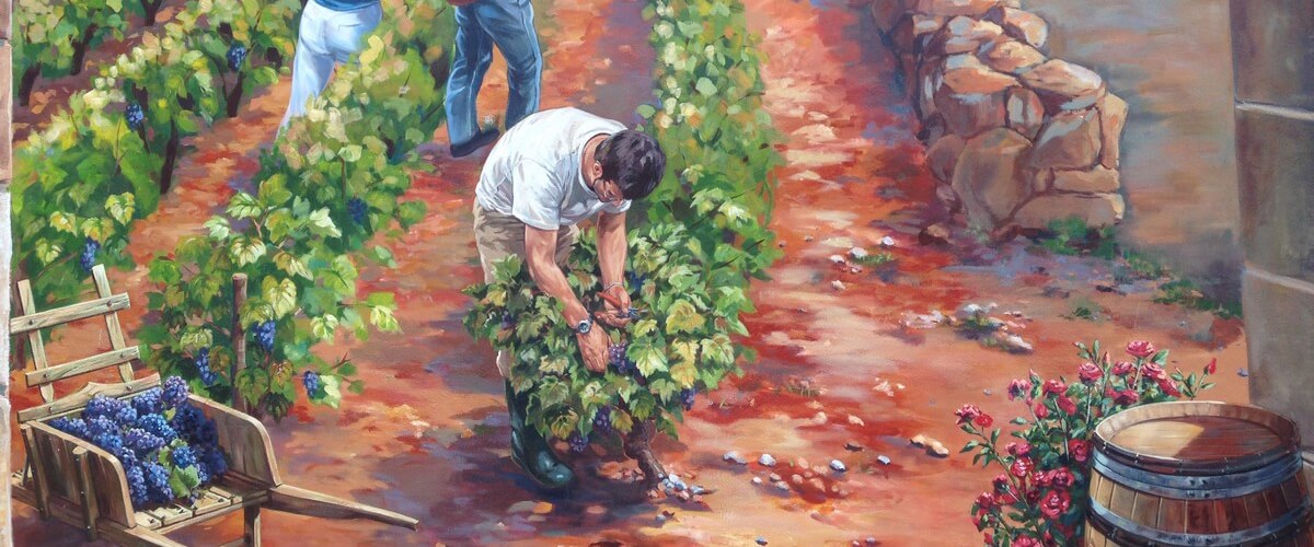 harvest-beaujolais-france