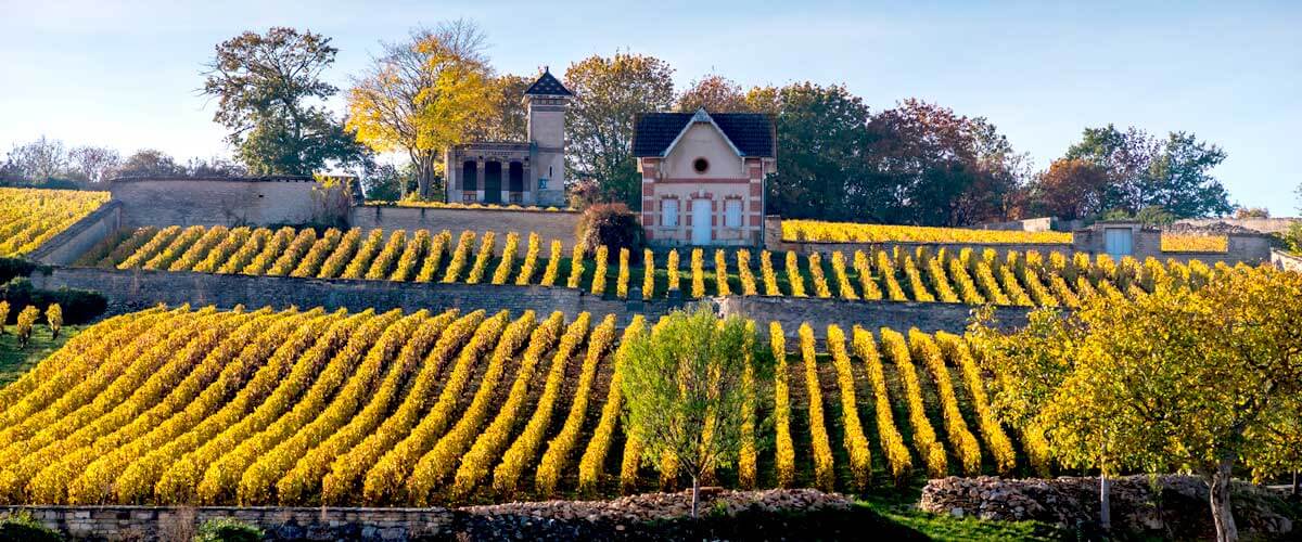 Grands vignobles de Bourgogne