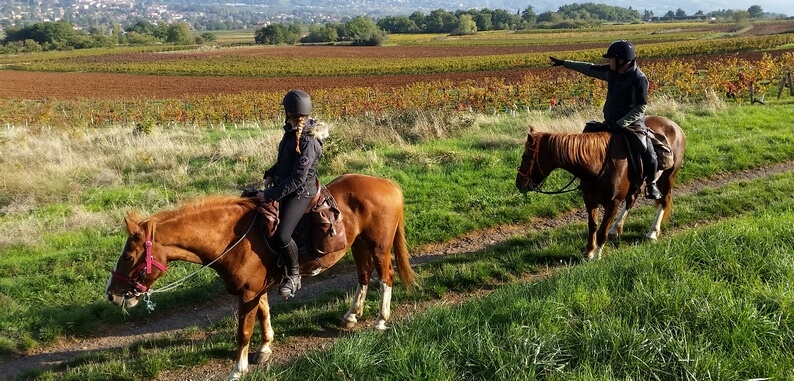 beaujolais-horse-riding