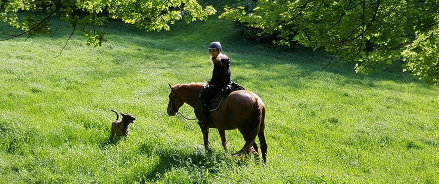 horse-riding-beaujolais