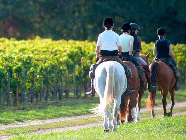Kanpai Tourisme - Horse Riding