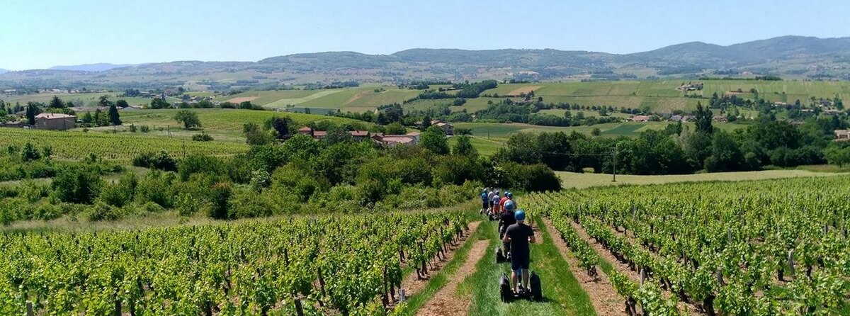 segway-beaujolais-tour