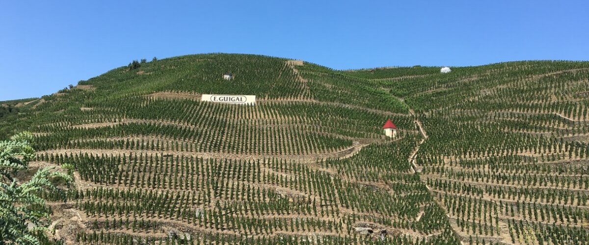 cote-rotie-vineyards