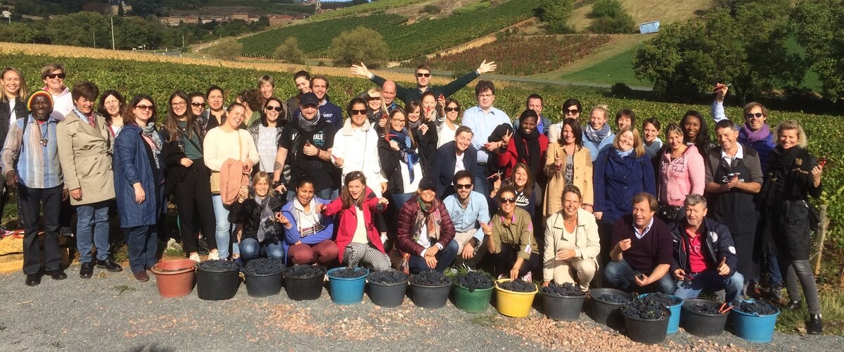 team-building-grape-picking