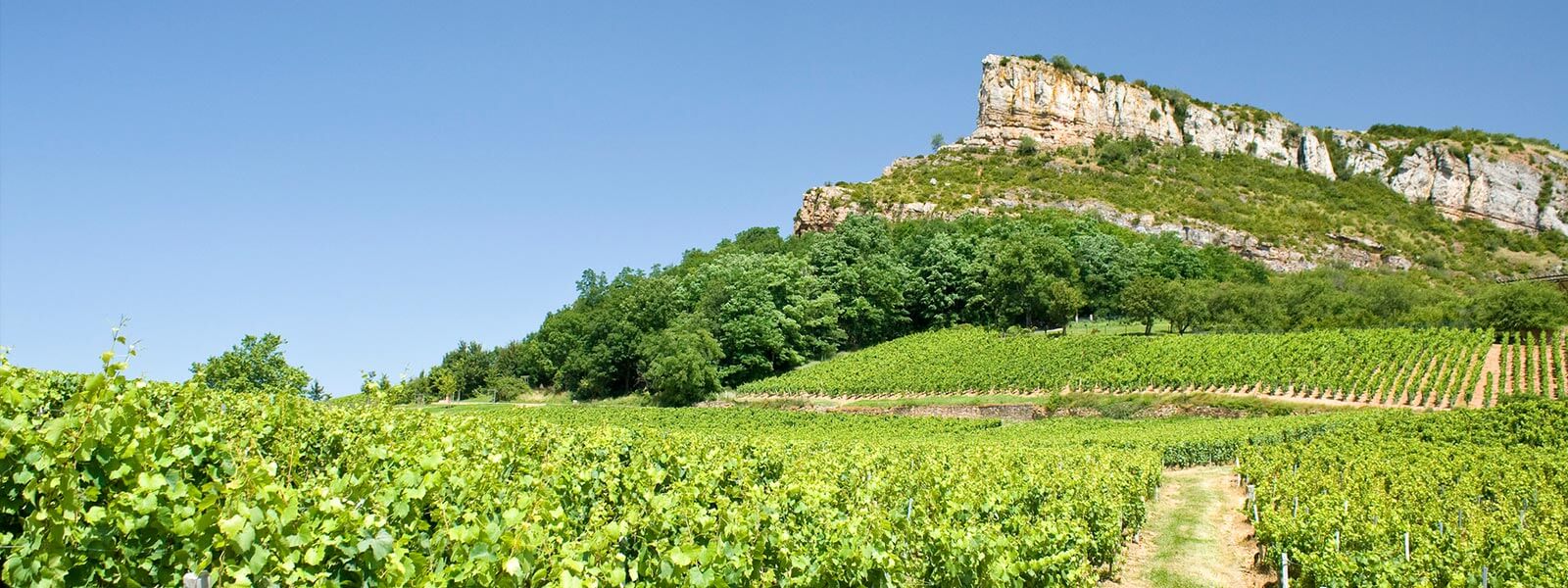 Kanpai Tourisme - Macon & Beaujolais wine tour