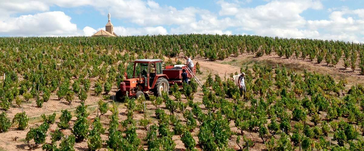 Mâcon et Beaujolais des Crus