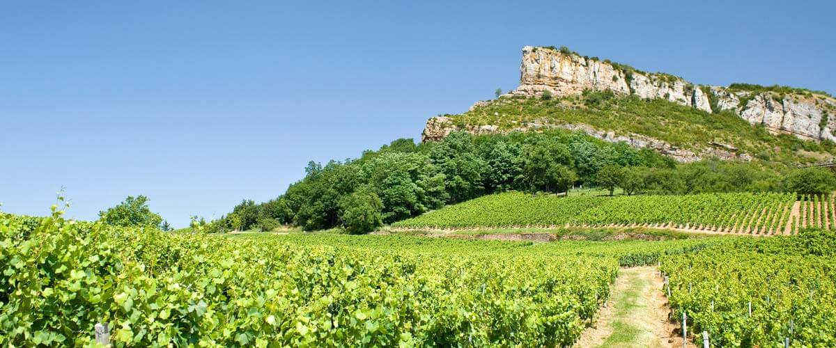 Mâcon et Beaujolais des Crus