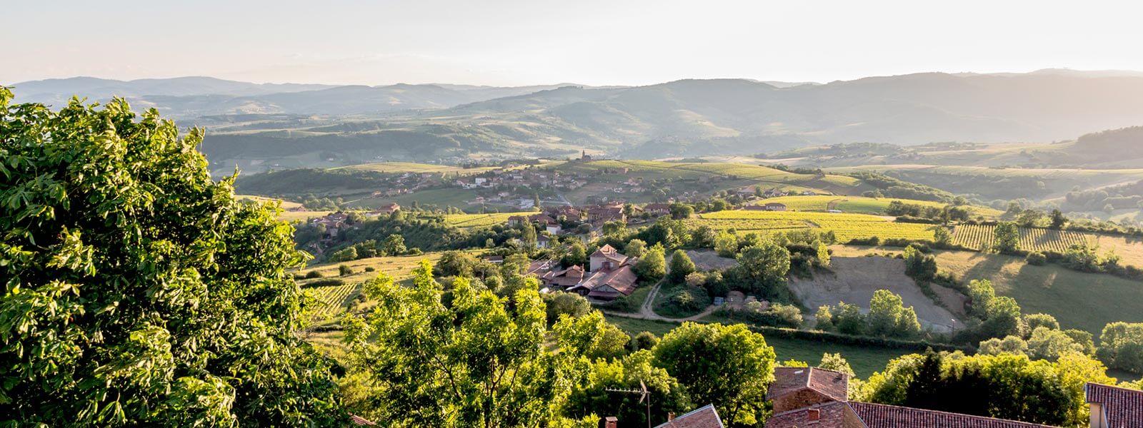 Kanpai Tourism - Beaujolais Full Discovery