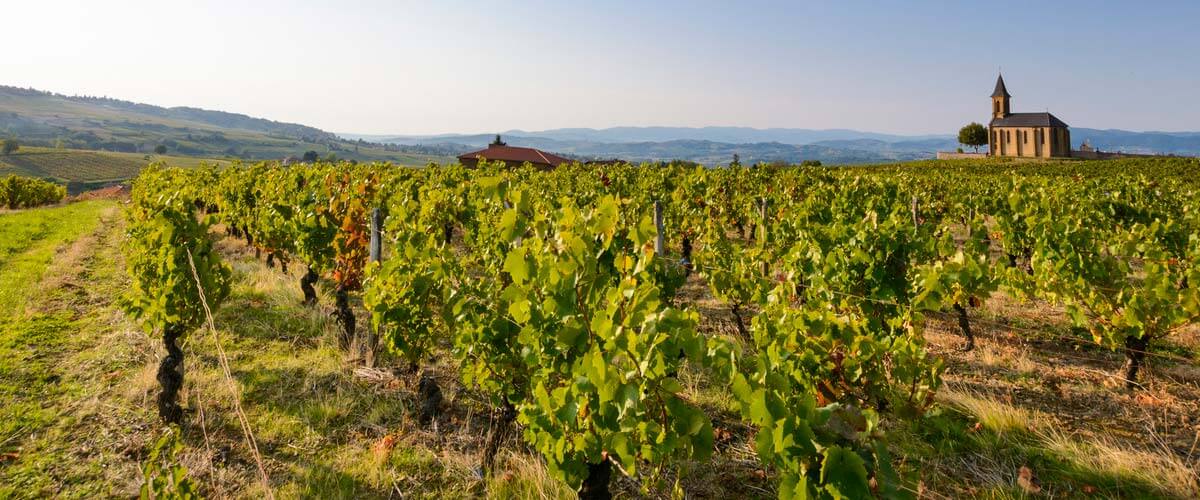 Beaujolais de Sud à Nord