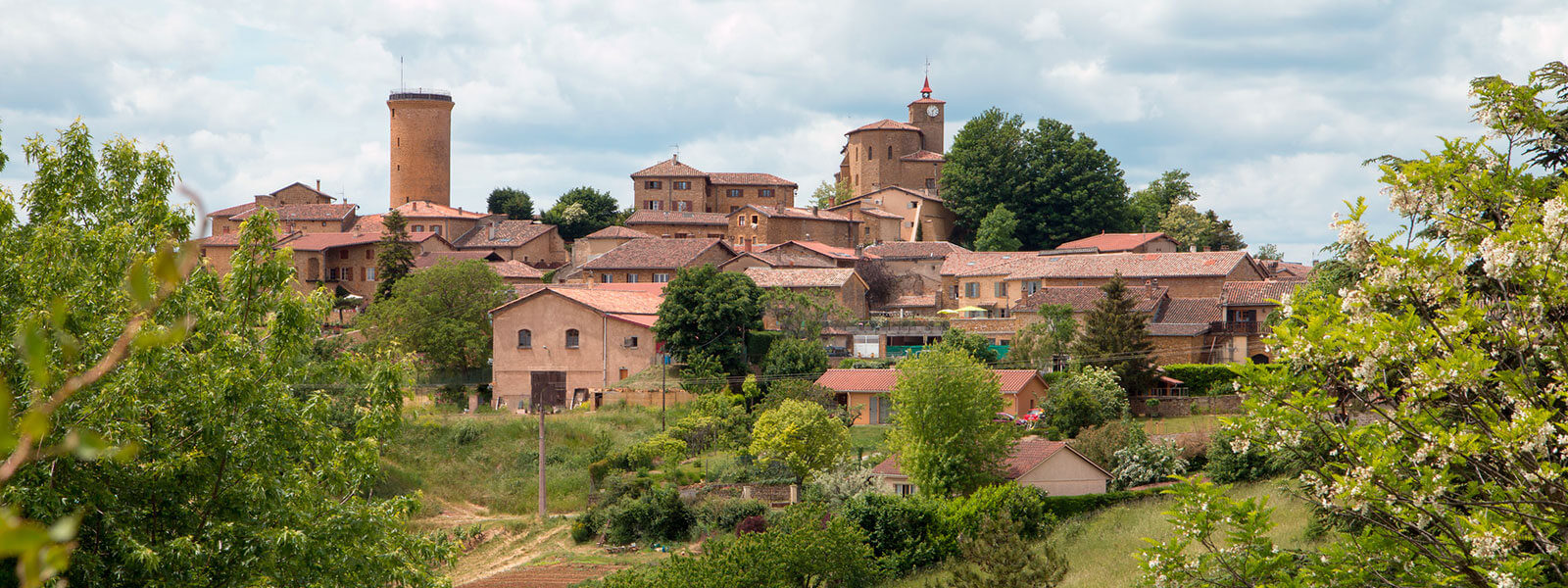 Kanpai Tourisme - Beaujolais Wine Discovery - Morning