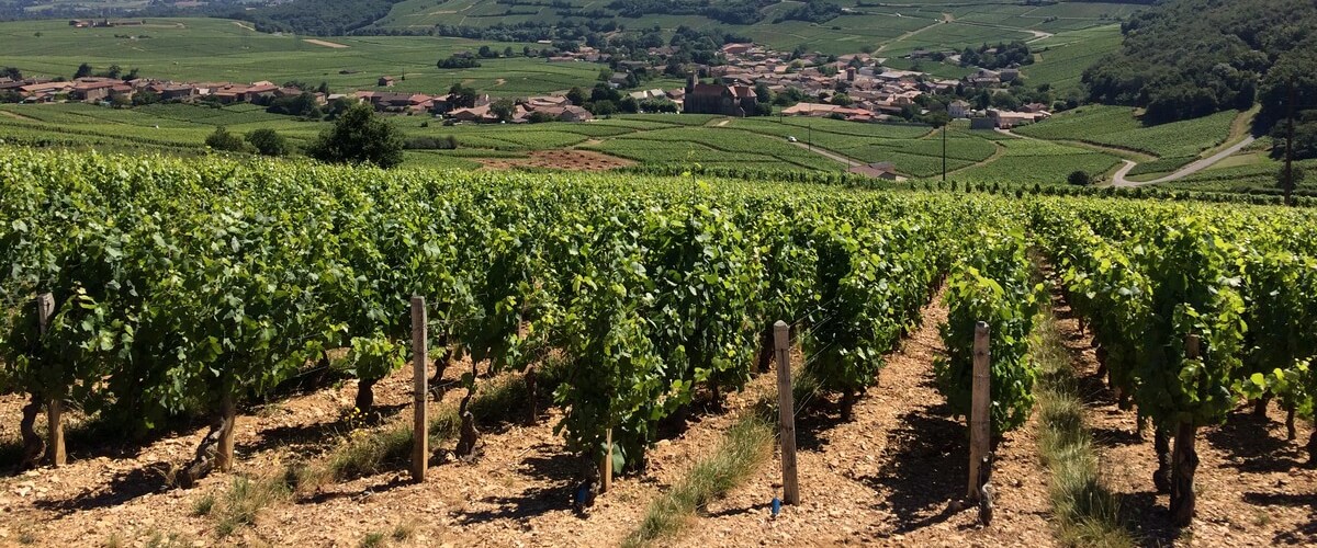 wine-pouilly-fuisse-lyon