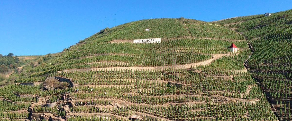 Découvertes des Côtes du Rhône