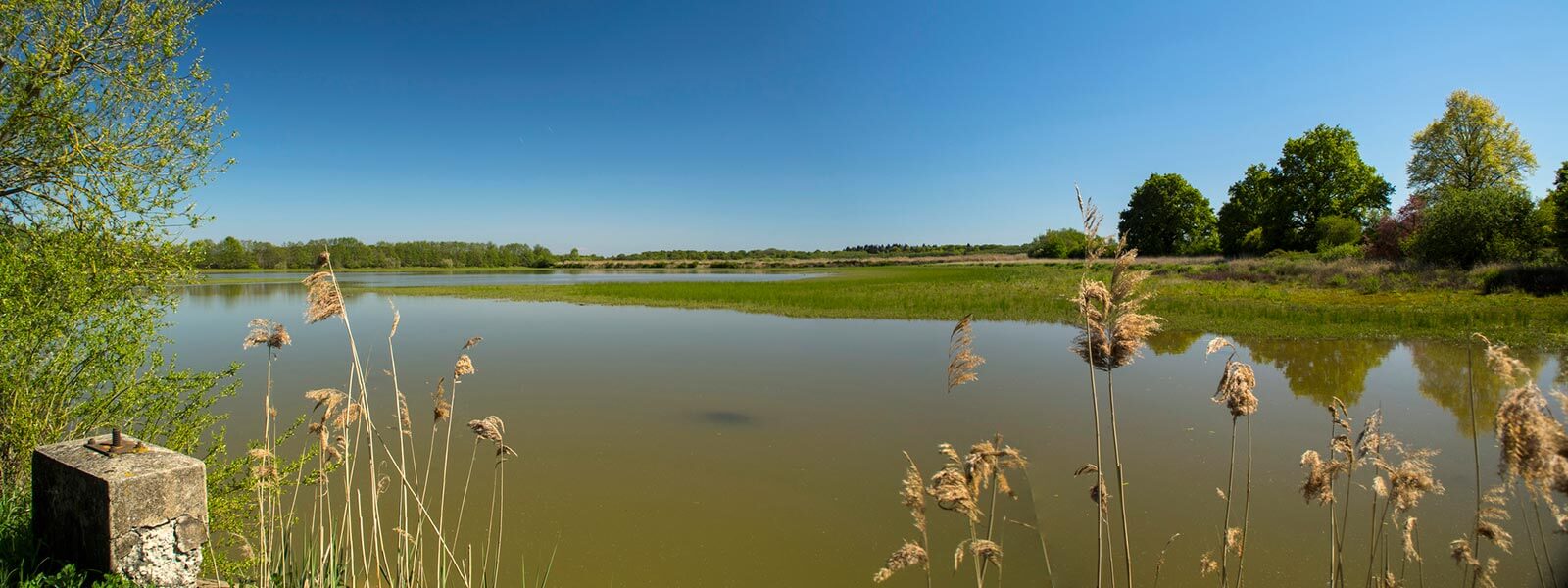 Kanpai Tourism - Perouges & La Dombes Region - Morning