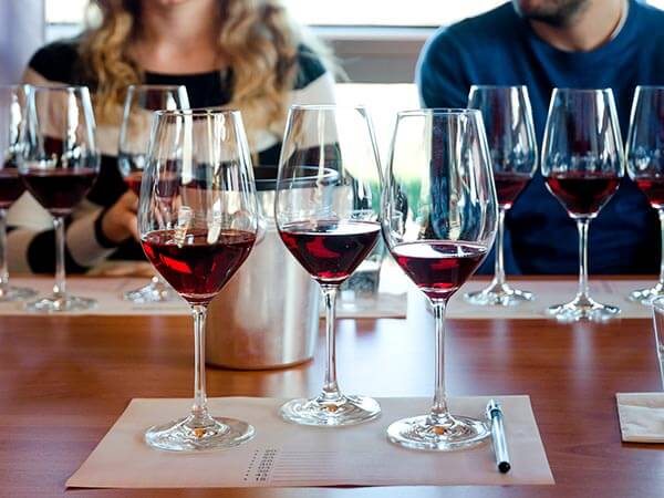 Kanpai Tourisme - Wine Tasting Initiation