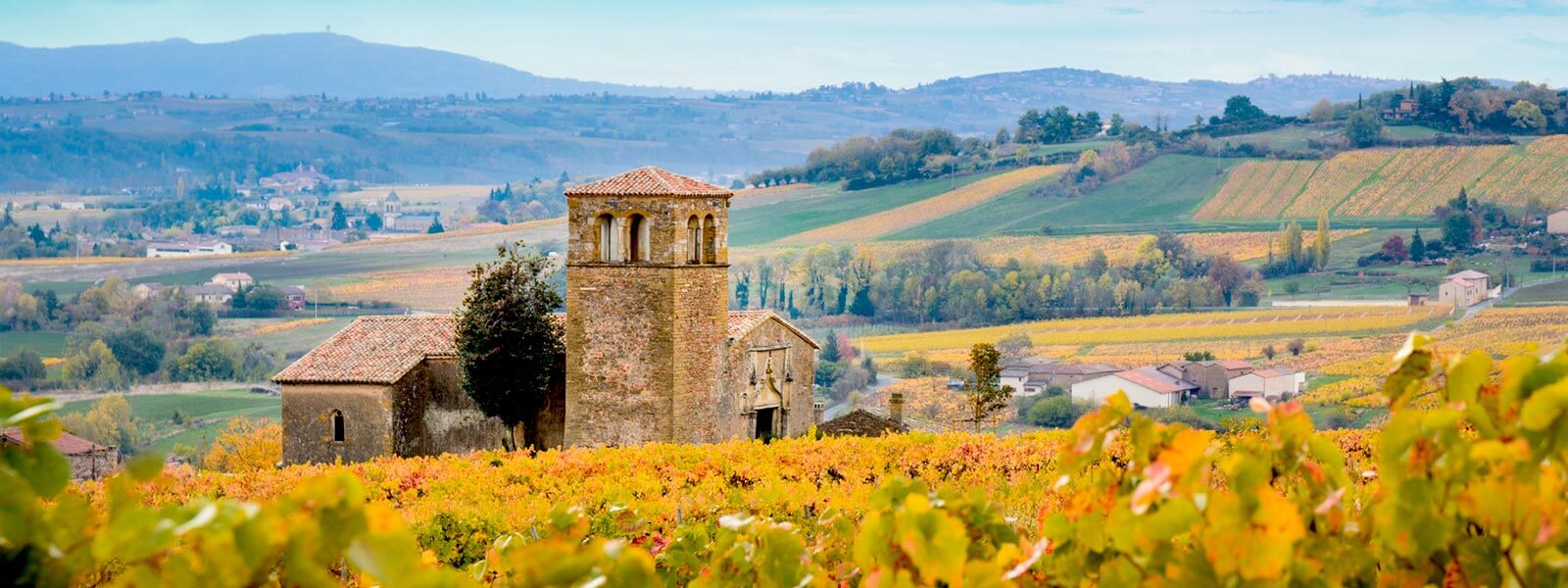 Kanpai Tourisme - Beaujolais Nouveau Wine Tour - Morning