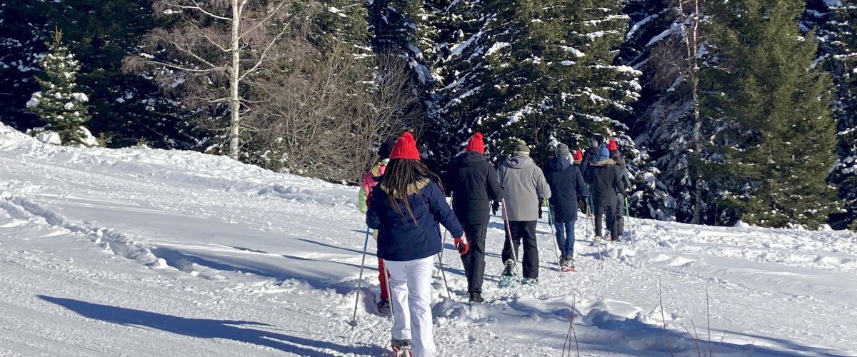 snow-shoes-hike-lyon