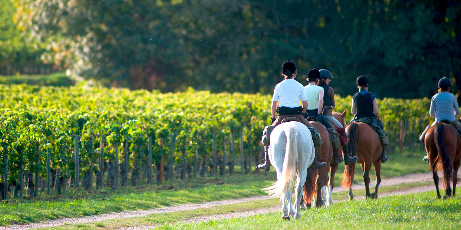 Kanpai Tourism - Outdoor Activities