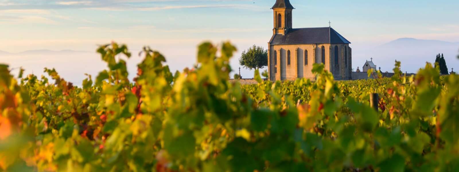Kanpai Tourisme - Beaujolais Wine Country