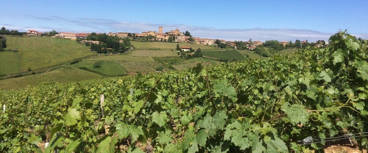 beaujolais-wine-region